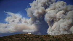 Hektaran Hutan Siberia Hangus Diduga Dibakar Pembalak Liar