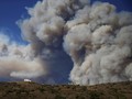 Hektaran Hutan Siberia Hangus Diduga Dibakar Pembalak Liar