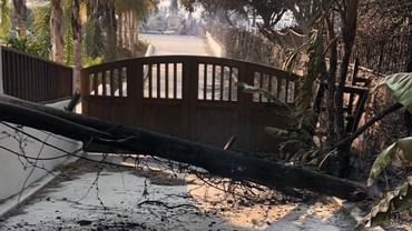 7 Rumah Artis yang Ludes karena Kebakaran Hutan California