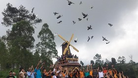 Destinasi Digital Peken Edelweis Ramaikan Pariwisata Bali