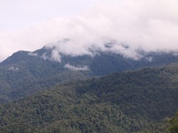 Fakta-fakta Aceh Selatan yang Bupatinya Umrah saat Rakyat Didera Banjir