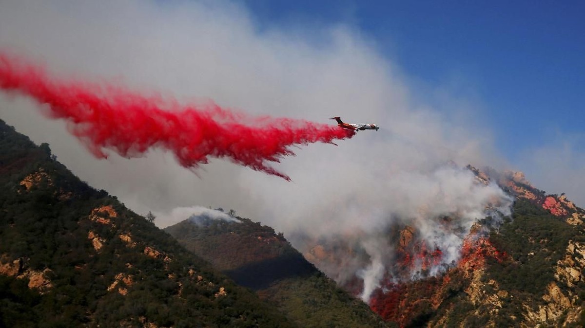 FOTO: Si Jago Merah Tewaskan 31 Orang di California