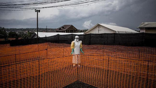 Pantai Gading Temukan Kasus Ebola Pertama dalam 25 Tahun Pantai Gading melaporkan kasus virus Ebola untuk pertama kalinya lagi sejak 25 tahun yang lalu.