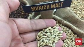 5 Makanan yang Dapat Mencegah Serangan Jantung