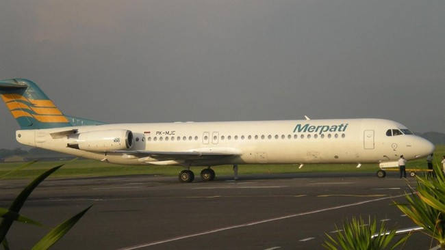 Kementerian BUMN menyatakan segera membentuk tim privatisasi untuk menentukan nasib PT Merpati Nusantara Airlines (Persero).