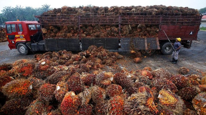 FILE PHOTO: A worker unloads palm oil fruits from a lorry inside a palm oil factory in Salak Tinggi, outside Kuala Lumpur August 4, 2014.   REUTERS/Samsul Said/File Photo