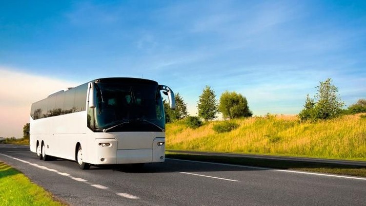 bus