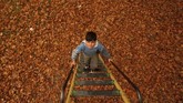 Seorang anak menaiki tangga di taman yang tertutup daun musim gugur di Srinagar, Kashmir. (Reuters/Danish Ismail)