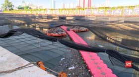 VIDEO: Pemprov DKI Lepas Waring Rp580 Juta di Kali Item