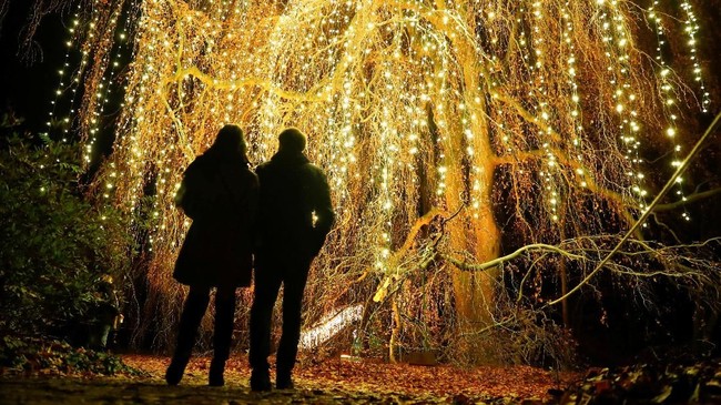 FOTO: Taman Cahaya Natal di Berlin