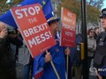 VIDEO: Kisruh Brexit, PM Inggris Ditinggal Dua Menteri