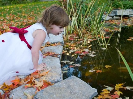 4 Tips agar Kolam di Rumah Tak Bahayakan Anak, Ortu Wajib Tahu