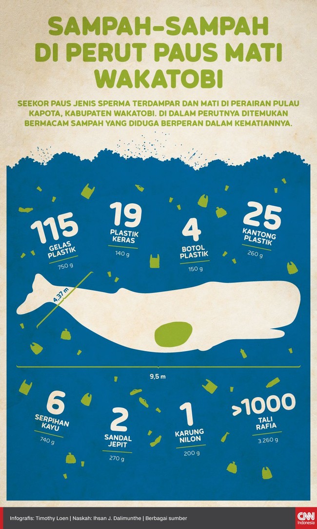 Di dalam perut paus jenis Sperma yang terdampar dan mati di perairan Wakatobi ditemukan bermacam sampah yang diduga berperan dalam kematiannya.