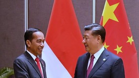 Jokowi dan Xi Jinping Bahas 10 Bali Baru di APEC
