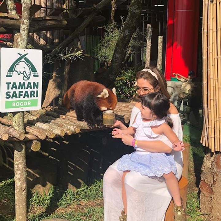 <p>Sejak kecil Gempi sudah diajari sayang pada hewan. Contohnya memberi makan panda merah ditemani Mama Gisel nih. (Foto: Instagram @gisel_la)  </p>