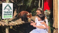 <p>Sejak kecil Gempi sudah diajari sayang pada hewan. Contohnya memberi makan panda merah ditemani Mama Gisel nih. (Foto: Instagram @gisel_la)  </p>