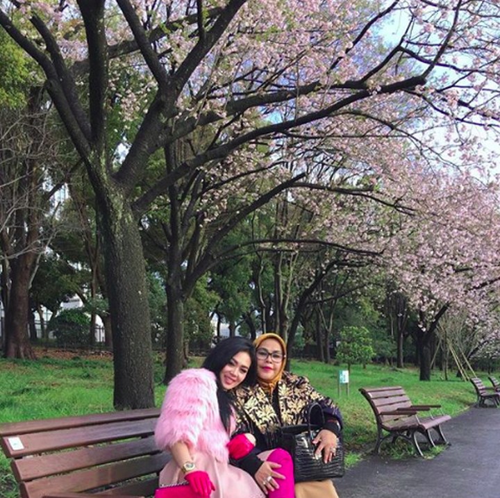 <p>Sehat dan bahagia selalu Syahrini dan keluarga. (Foto: Instagram/princessyahrini)</p>