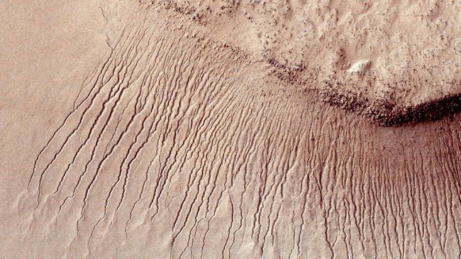 Lembaga Antariksa Amerika Serikat (NASA) mengundang masyarakat dari seluruh dunia untuk 'menyetor' nama untuk misi penjelajaan Mars 2020.
