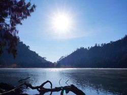 Setahun Tak Ada Pendakian, Ranu Kumbolo Ditandai Jejak Satwa Liar