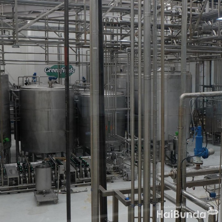 Setelah lolos uji, susu sapi diperah dan diproses secara pasteurisasi dan sterilisasi. Hasil proses akan ditampung dalam tank besar berkapasitas mencapai 10 ton.