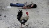 FOTO: Arus Eksodus Warga Honduras Hindari Perang Geng Ketakutan akan perang antar-geng di kampung halamannya, ribuan warga Honduras berbondong-bondong menerobos perbatasan menuju Amerika Serikat.