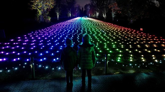 FOTO: Gemerlap Natal di Kew Gardens