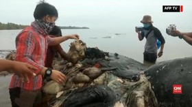 VIDEO: Laut Indonesia Dihadang Sampah Plastik