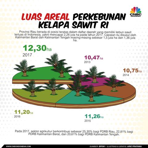 Serap 5,9 Juta Tenaga Kerja, Luas Lahan Sawit RI 12,3 Juta Ha