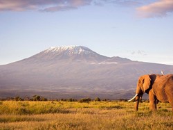 10 Fakta Kilimanjaro, Gunung Berapi Tertinggi Dunia di Afrika