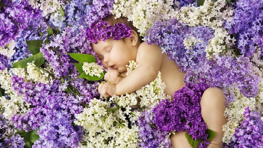 20 Nama Bayi Perempuan Cantik Terinspirasi dari Bunga