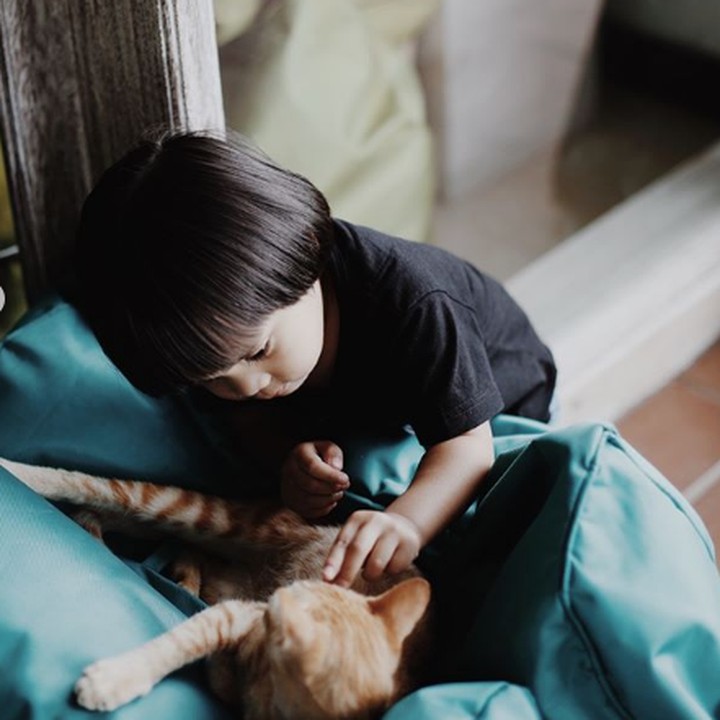 <p>Wah, ternyata Sekala tidak takut dengan kucing ya. Hati-hati nanti dicakar lho. (Foto: Instagram @ayudiac)</p>