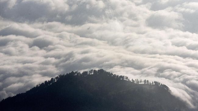 Antisipasi ancaman longsor, turis diminta tak datang ke 'Negeri di Atas Awan' di Citorek, Jawa Barat, saat malam Tahun Baru.