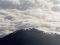 PPKM Level 3, Pendakian Gunung Arjuno-Welirang Ditutup Lagi