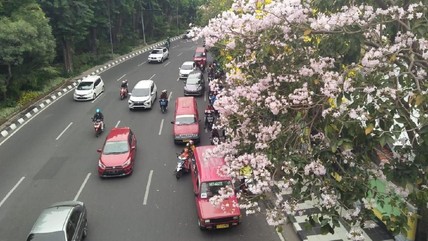 Detik Network