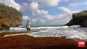 Mencari Letak Pantai Wohkudu