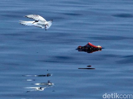 5 Bahaya Plastik, Bunda Wajib Tahu Nih