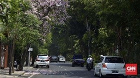 Usai Diumumkan Jokowi, Surabaya Siapkan Skema Pembatasan