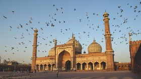 Stafsus Wapres Sebut Isu Polisi Masjid Hoaks