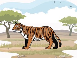 Ngeri! Polisi Temukan Jejak Harimau saat Padamkan Karhutla di Pelalawan