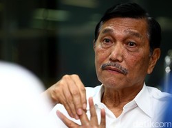 Luhut Ajak Pengusaha China Garap Fiberglass di RI