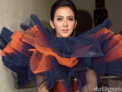 Ini Alasan Hotman Paris Follow Penyebar Hoax Video Syahrini
