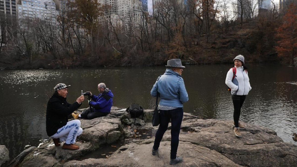FOTO: Kawanan Bebek Cantik di New York