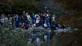 FOTO: Kawanan Bebek Cantik di New York Kawanan Bebek Mandarin yang berada di Central Park, New York, Amerika Serikat, membuat banyak pihak merasa senang dan antusias.