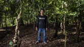 FOTO: Harumnya Aroma Kopi Banyuwangi Aroma wangi menyebar ke seluruh jalan di desa Gombengsari, Banyuwangi. Bunyi sangrai dan tumbukan biji kopi terdengar seperti lantunan nada.