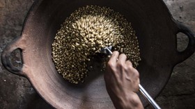 Bogor Gaet Wisatawan dengan 'Tahun Kopi'