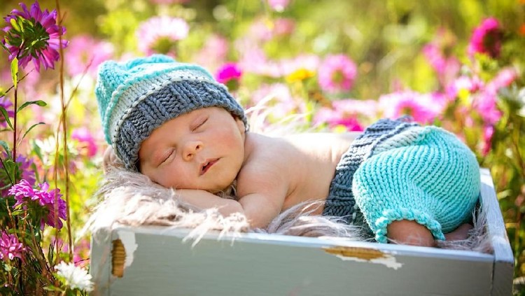 Cute newborn baby boy, sleeping peacefully in basket in flower garden