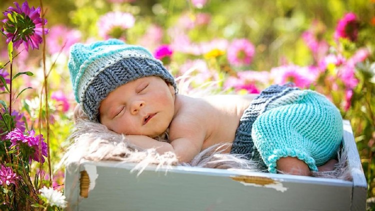 bayi Cute newborn baby boy, sleeping peacefully in basket in flower garden