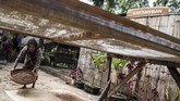 FOTO: Harumnya Aroma Kopi Banyuwangi Aroma wangi menyebar ke seluruh jalan di desa Gombengsari, Banyuwangi. Bunyi sangrai dan tumbukan biji kopi terdengar seperti lantunan nada.