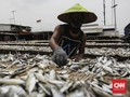 KKP Usul Diskon Pajak 30 Persen untuk Pengolahan Ikan