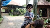 <p>Arkana cute abis saat naik kuda. Bikin gemas! (Foto: Instagram @ristytagor)  </p>